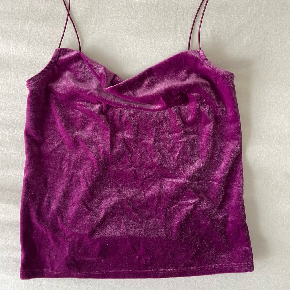 Velvet cute top. Never worn but no tag.